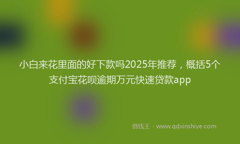 小白来花里面的好下款吗2025年推荐，概括5个支付宝花呗逾期万元快速贷款app