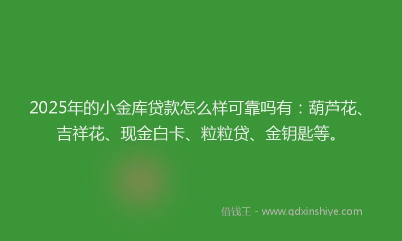 2025年的小金库贷款怎么样可靠吗有：葫芦花、吉祥花、现金白卡、粒粒贷、金钥匙等。