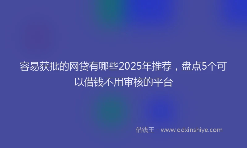 容易获批的网贷有哪些2025年推荐，盘点5个可以借钱不用审核的平台