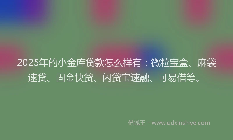 2025年的小金库贷款怎么样有：微粒宝盒、麻袋速贷、固金快贷、闪贷宝速融、可易借等。