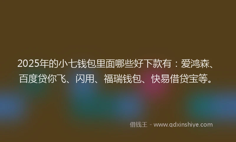 2025年的小七钱包里面哪些好下款有：爱鸿森、百度贷你飞、闪用、福瑞钱包、快易借贷宝等。