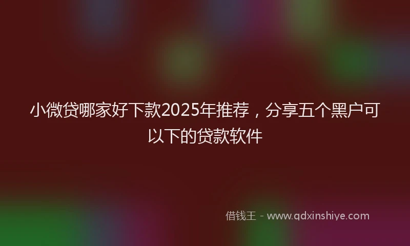 小微贷哪家好下款2025年推荐，分享五个黑户可以下的贷款软件