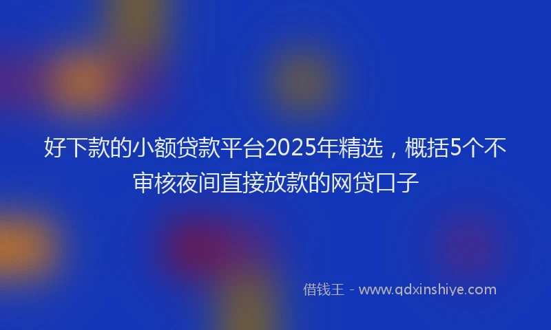 好下款的小额贷款平台2025年精选，概括5个不审核夜间直接放款的网贷口子