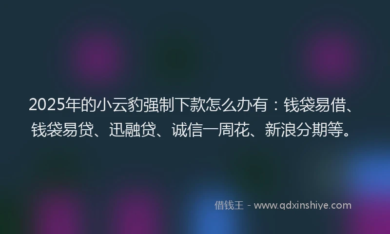 2025年的小云豹强制下款怎么办有：钱袋易借、钱袋易贷、迅融贷、诚信一周花、新浪分期等。