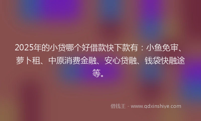2025年的小贷哪个好借款快下款有：小鱼免审、萝卜租、中原消费金融、安心贷融、钱袋快融途等。