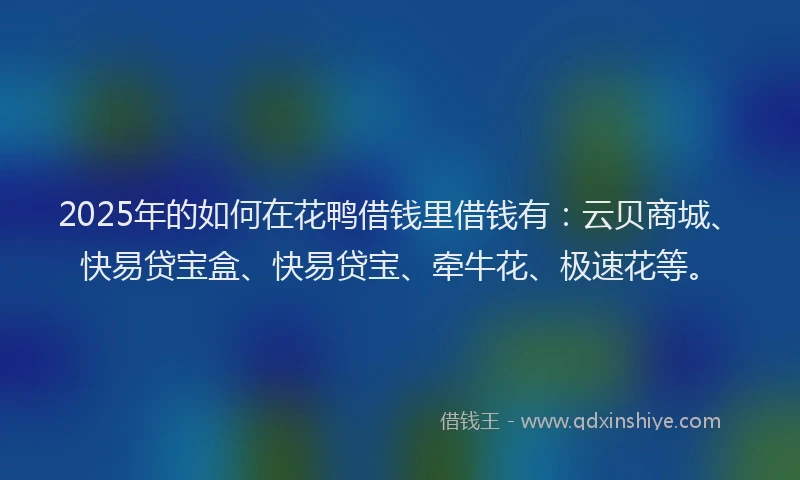 2025年的如何在花鸭借钱里借钱有：云贝商城、快易贷宝盒、快易贷宝、牵牛花、极速花等。