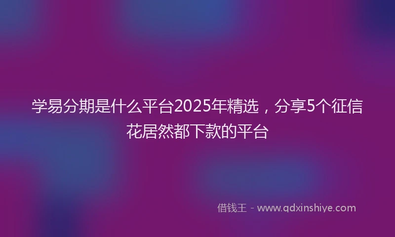 学易分期是什么平台2025年精选，分享5个征信花居然都下款的平台