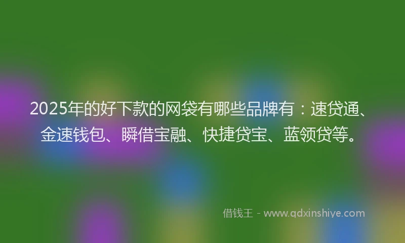2025年的好下款的网袋有哪些品牌有：速贷通、金速钱包、瞬借宝融、快捷贷宝、蓝领贷等。