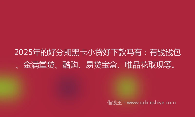 2025年的好分期黑卡小贷好下款吗有：有钱钱包、金满堂贷、酷购、易贷宝盒、唯品花取现等。
