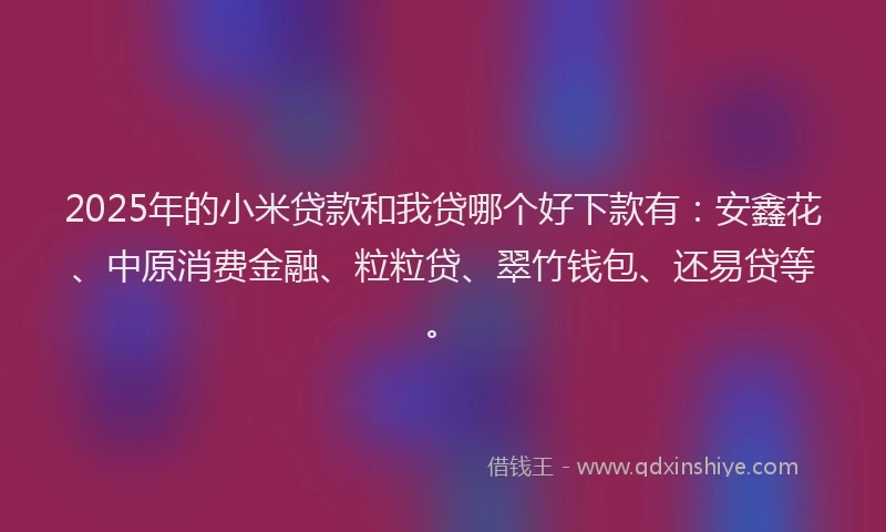 2025年的小米贷款和我贷哪个好下款有：安鑫花、中原消费金融、粒粒贷、翠竹钱包、还易贷等。