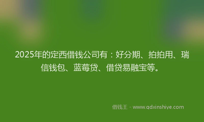 2025年的定西借钱公司有：好分期、拍拍用、瑞信钱包、蓝莓贷、借贷易融宝等。
