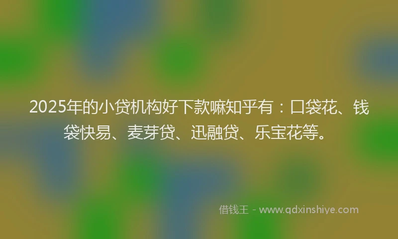 2025年的小贷机构好下款嘛知乎有：口袋花、钱袋快易、麦芽贷、迅融贷、乐宝花等。