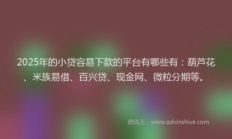 2025年的小贷容易下款的平台有哪些有：葫芦花、米族易借、百兴贷、现金网、微粒分期等。
