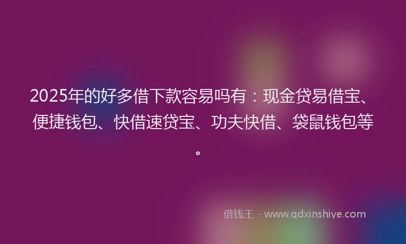 2025年的好多借下款容易吗有：现金贷易借宝、便捷钱包、快借速贷宝、功夫快借、袋鼠钱包等。