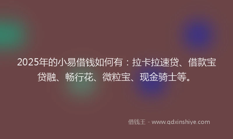2025年的小易借钱如何有：拉卡拉速贷、借款宝贷融、畅行花、微粒宝、现金骑士等。
