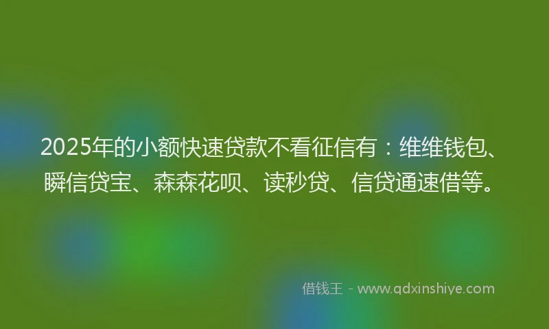 2025年的小额快速贷款不看征信有：维维钱包、瞬信贷宝、森森花呗、读秒贷、信贷通速借等。