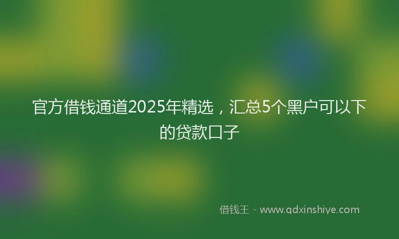 官方借钱通道2025年精选，汇总5个黑户可以下的贷款口子