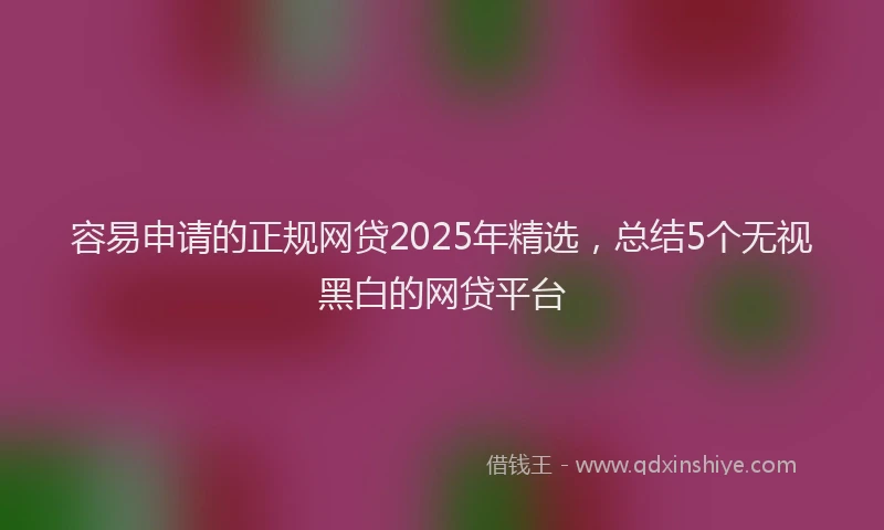 容易申请的正规网贷2025年精选，总结5个无视黑白的网贷平台