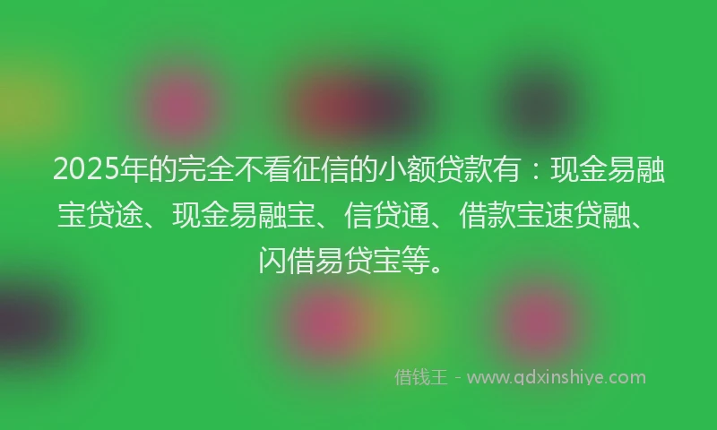 2025年的完全不看征信的小额贷款有：现金易融宝贷途、现金易融宝、信贷通、借款宝速贷融、闪借易贷宝等。