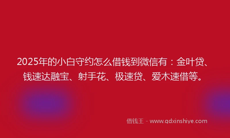2025年的小白守约怎么借钱到微信有：金叶贷、钱速达融宝、射手花、极速贷、爱木速借等。
