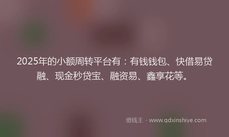 2025年的小额周转平台有：有钱钱包、快借易贷融、现金秒贷宝、融资易、鑫享花等。