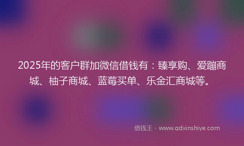 2025年的客户群加微信借钱有：臻享购、爱蹦商城、柚子商城、蓝莓买单、乐金汇商城等。