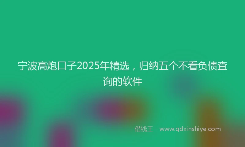 宁波高炮口子2025年精选，归纳五个不看负债查询的软件
