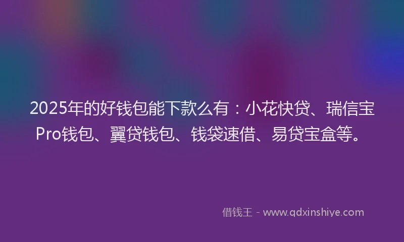 2025年的好钱包能下款么有：小花快贷、瑞信宝Pro钱包、翼贷钱包、钱袋速借、易贷宝盒等。
