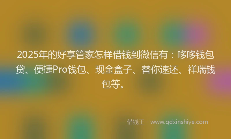2025年的好享管家怎样借钱到微信有：哆哆钱包贷、便捷Pro钱包、现金盒子、替你速还、祥瑞钱包等。