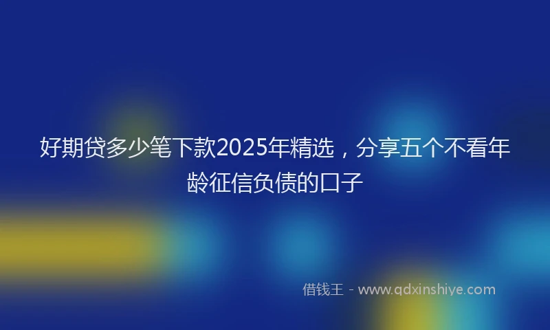 好期贷多少笔下款2025年精选，分享五个不看年龄征信负债的口子