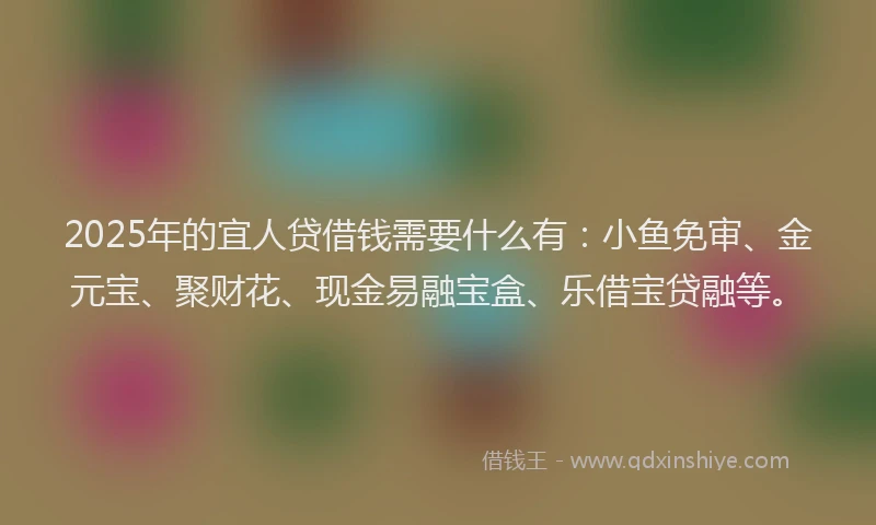 2025年的宜人贷借钱需要什么有：小鱼免审、金元宝、聚财花、现金易融宝盒、乐借宝贷融等。