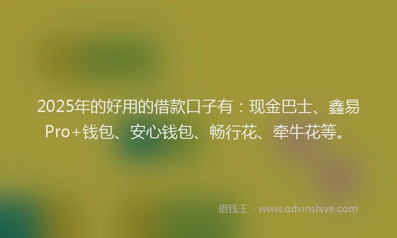 2025年的好用的借款口子有：现金巴士、鑫易Pro+钱包、安心钱包、畅行花、牵牛花等。