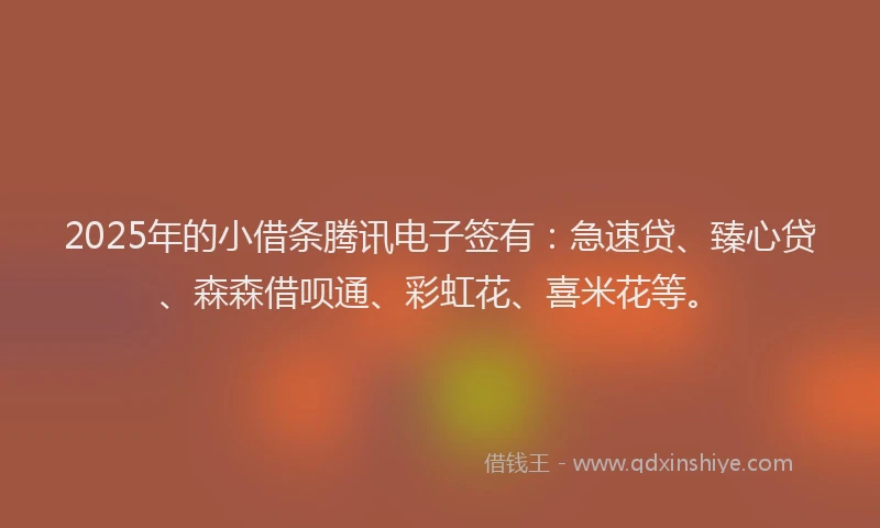 2025年的小借条腾讯电子签有：急速贷、臻心贷、森森借呗通、彩虹花、喜米花等。