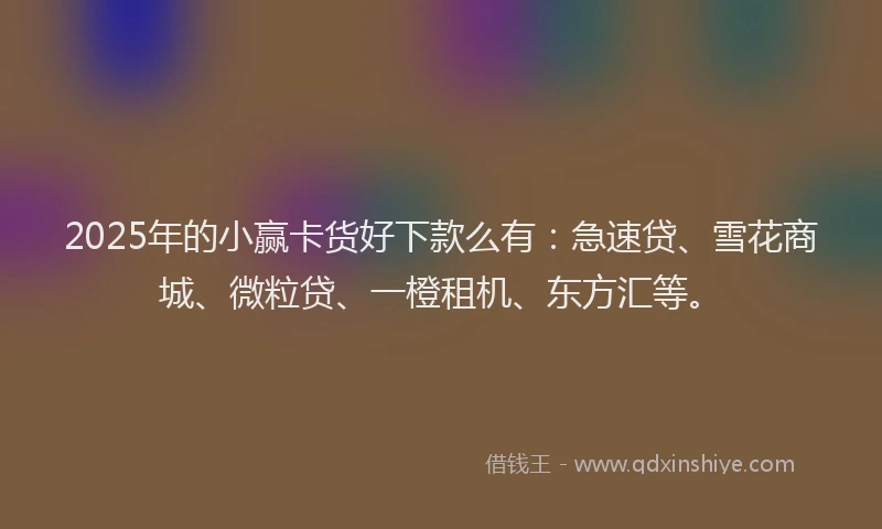 2025年的小赢卡货好下款么有：急速贷、雪花商城、微粒贷、一橙租机、东方汇等。