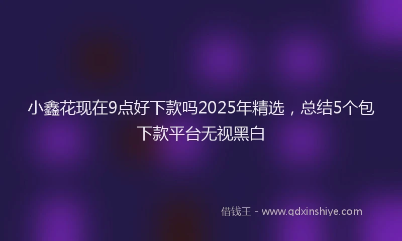 小鑫花现在9点好下款吗2025年精选，总结5个包下款平台无视黑白