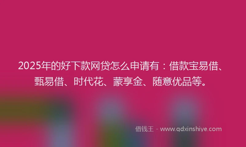 2025年的好下款网贷怎么申请有：借款宝易借、甄易借、时代花、蒙享金、随意优品等。