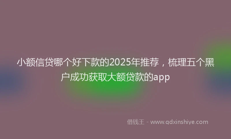 小额信贷哪个好下款的2025年推荐，梳理五个黑户成功获取大额贷款的app