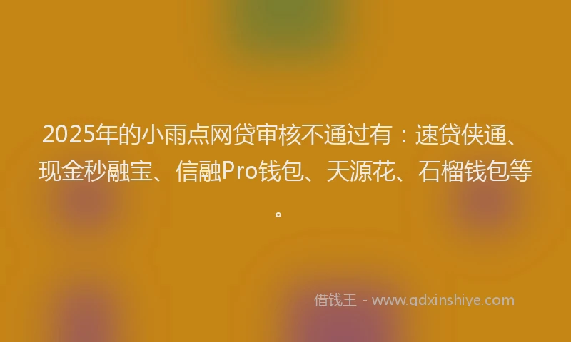2025年的小雨点网贷审核不通过有：速贷侠通、现金秒融宝、信融Pro钱包、天源花、石榴钱包等。