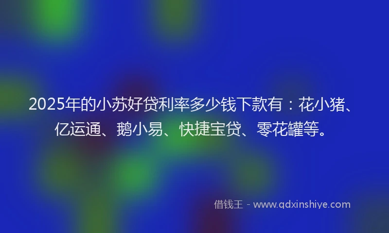2025年的小苏好贷利率多少钱下款有：花小猪、亿运通、鹅小易、快捷宝贷、零花罐等。