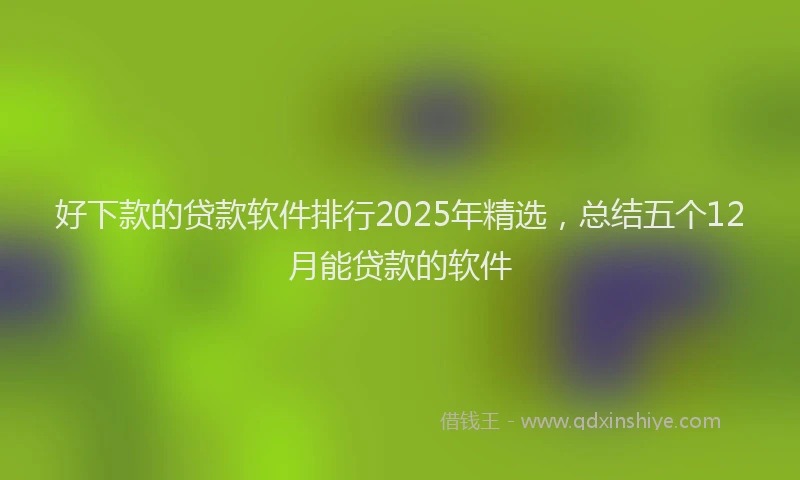 好下款的贷款软件排行2025年精选，总结五个12月能贷款的软件