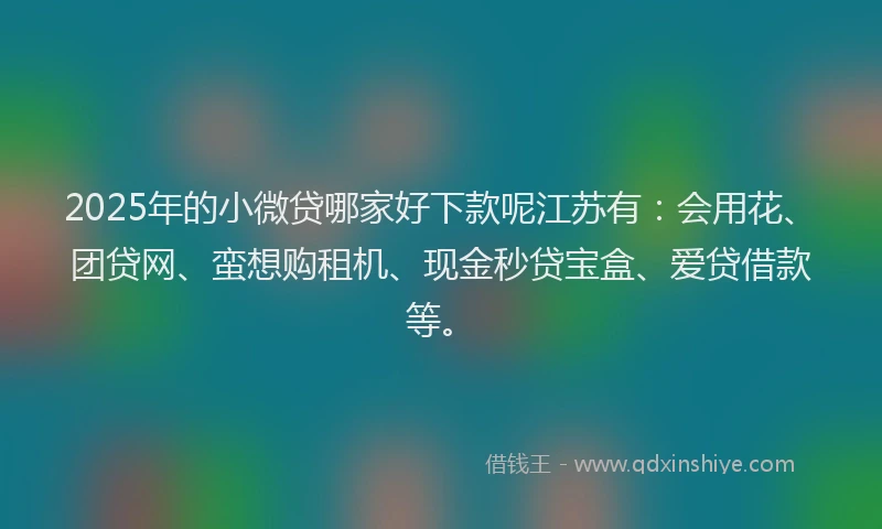2025年的小微贷哪家好下款呢江苏有：会用花、团贷网、蛮想购租机、现金秒贷宝盒、爱贷借款等。