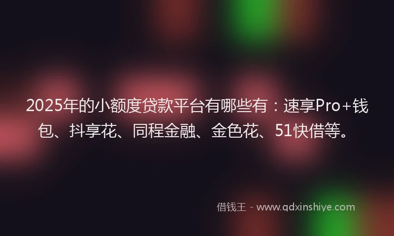 2025年的小额度贷款平台有哪些有：速享Pro+钱包、抖享花、同程金融、金色花、51快借等。