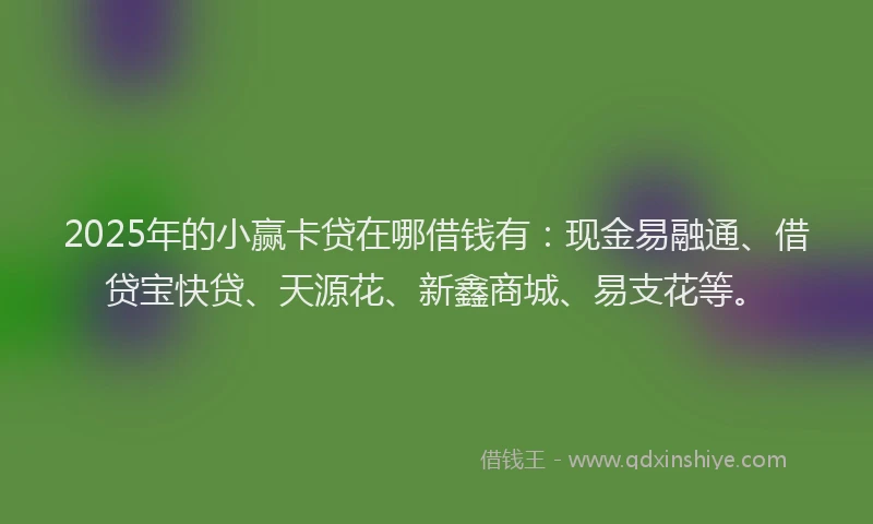 2025年的小赢卡贷在哪借钱有：现金易融通、借贷宝快贷、天源花、新鑫商城、易支花等。