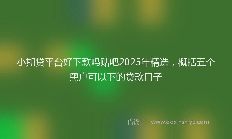 小期贷平台好下款吗贴吧2025年精选，概括五个黑户可以下的贷款口子