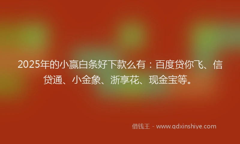 2025年的小赢白条好下款么有：百度贷你飞、信贷通、小金象、浙享花、现金宝等。