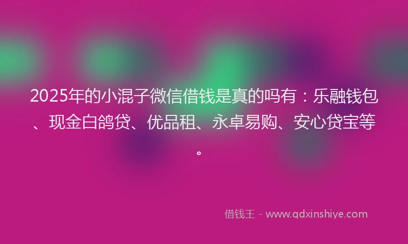 2025年的小混子微信借钱是真的吗有：乐融钱包、现金白鸽贷、优品租、永卓易购、安心贷宝等。