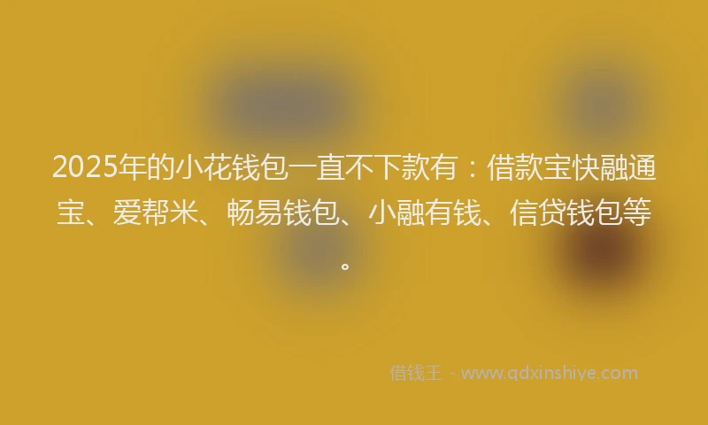 2025年的小花钱包一直不下款有：借款宝快融通宝、爱帮米、畅易钱包、小融有钱、信贷钱包等。