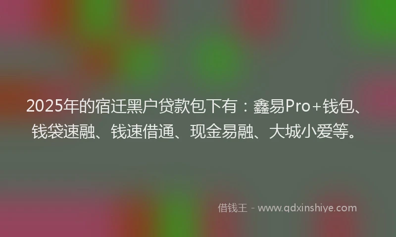 2025年的宿迁黑户贷款包下有：鑫易Pro+钱包、钱袋速融、钱速借通、现金易融、大城小爱等。
