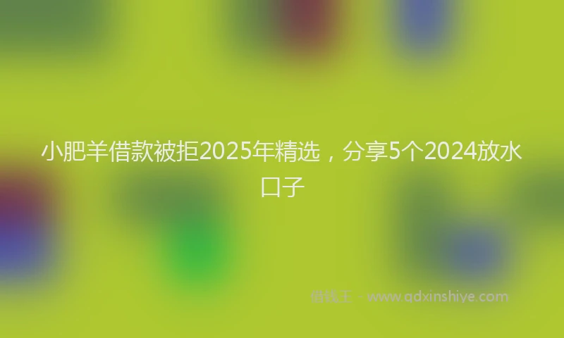 小肥羊借款被拒2025年精选，分享5个2024放水口子
