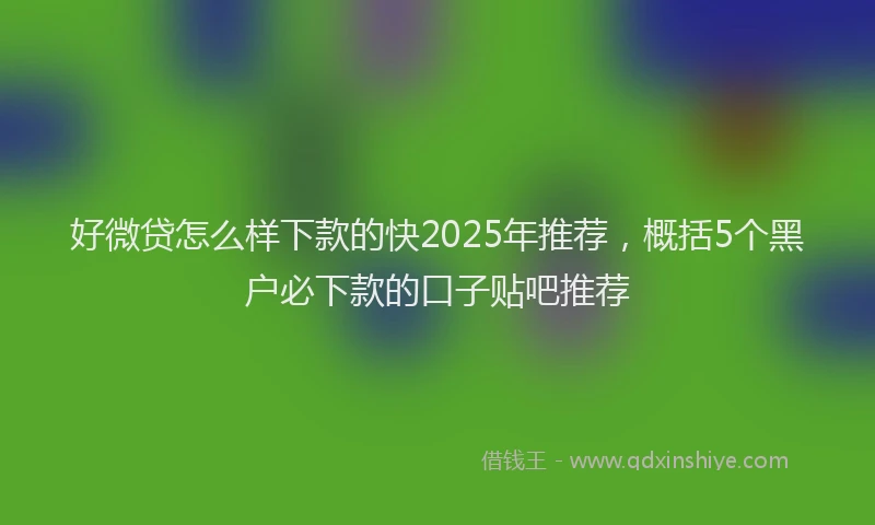 好微贷怎么样下款的快2025年推荐，概括5个黑户必下款的口子贴吧推荐